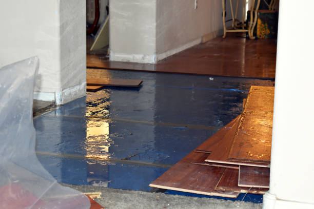 Professional Burst Pipe Cleanup technician working in Union, MS